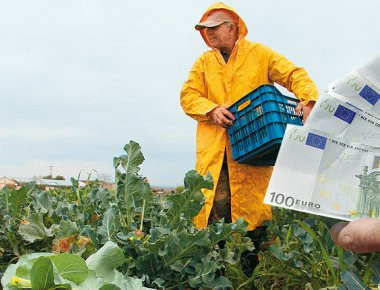 Άρειος Πάγος: Ευνοϊκή νομολογία για αγροτικά κόκκινα δάνεια